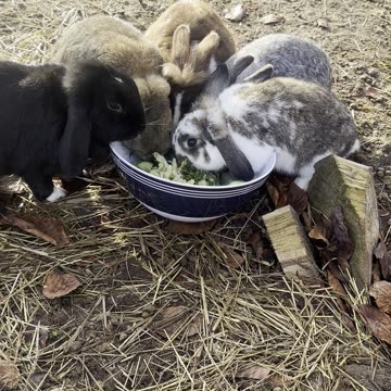 Bath Time Bunny – Fluffy & Clean