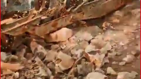 Rs 13-Crore Ropeway Collapses in Trial Run, Safety Fears Rock Rohtas