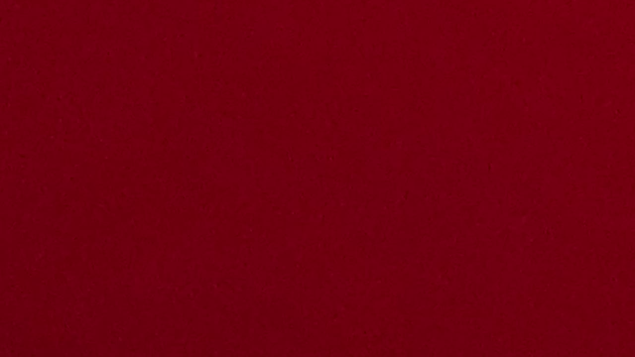 What are we gonna do lol