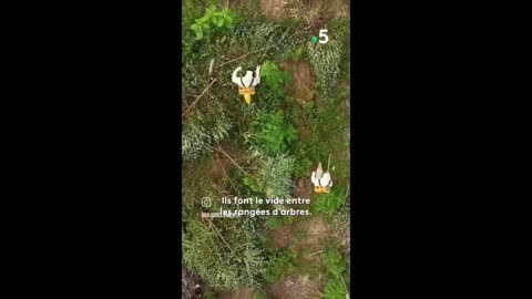 Ανεμογεννήτριες παντού