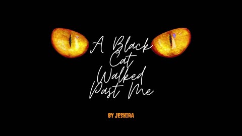 A Black Cat Walked Past Me (Official Song)