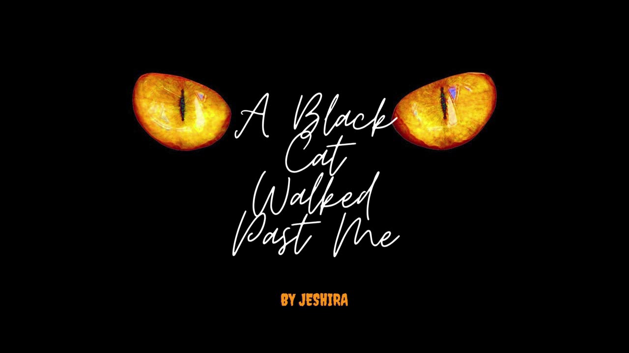 A Black Cat Walked Past Me (Official Song)