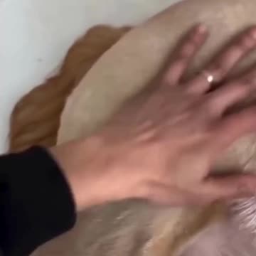 just checking😁😁