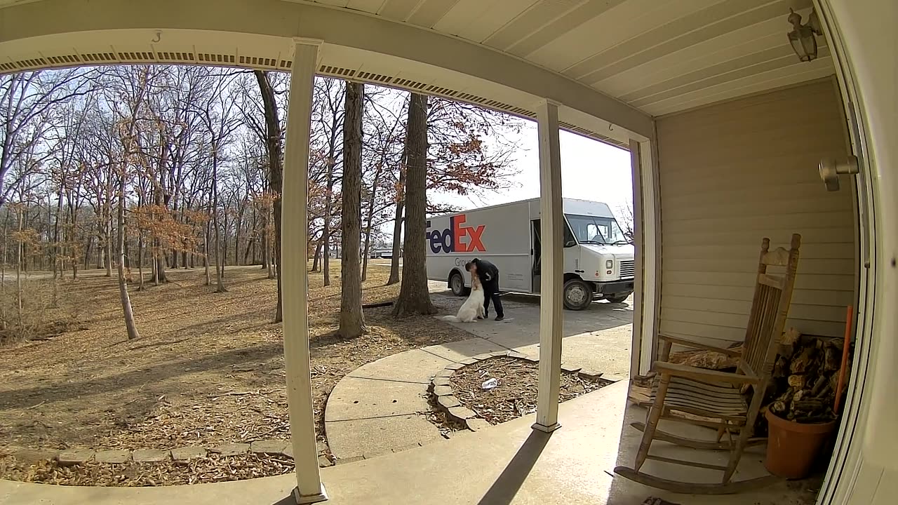 Dog Greets FedEx Driver