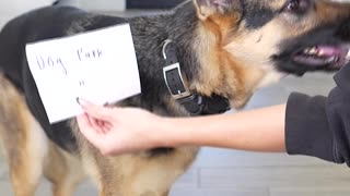 She SHOCKED me with this choice 😅