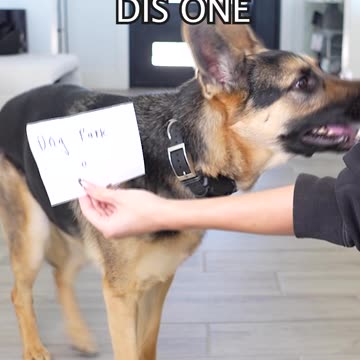 She SHOCKED me with this choice 😅