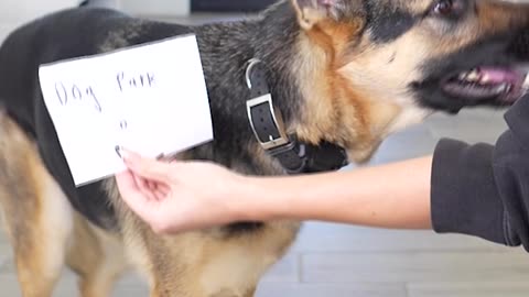 She SHOCKED me with this choice 😅