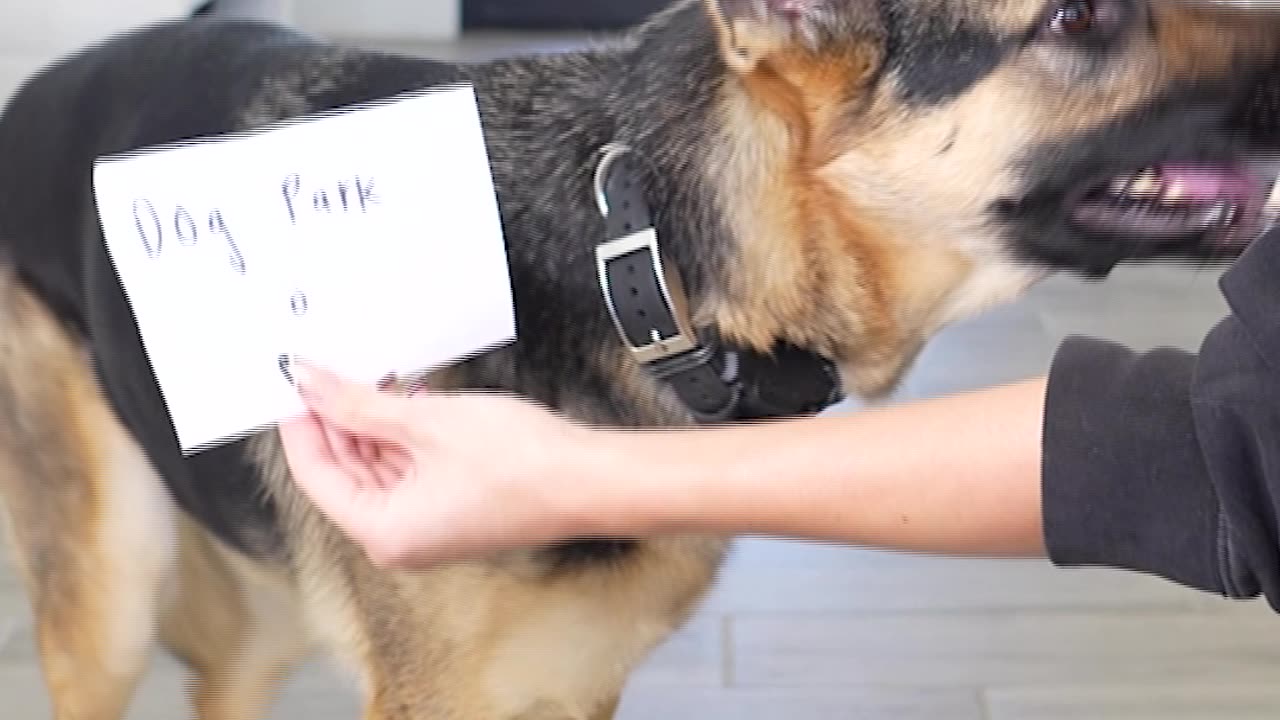 She SHOCKED me with this choice 😅