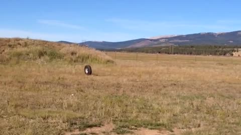 Hilarious Funny Fails Caught on Camera 😂😆 | Epic Moments You Can’t Stop Laughing At! 💖🤣