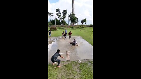 cricket