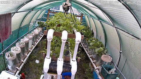 Greenhouse 2 Timeplapse Ending 13-09-2025
