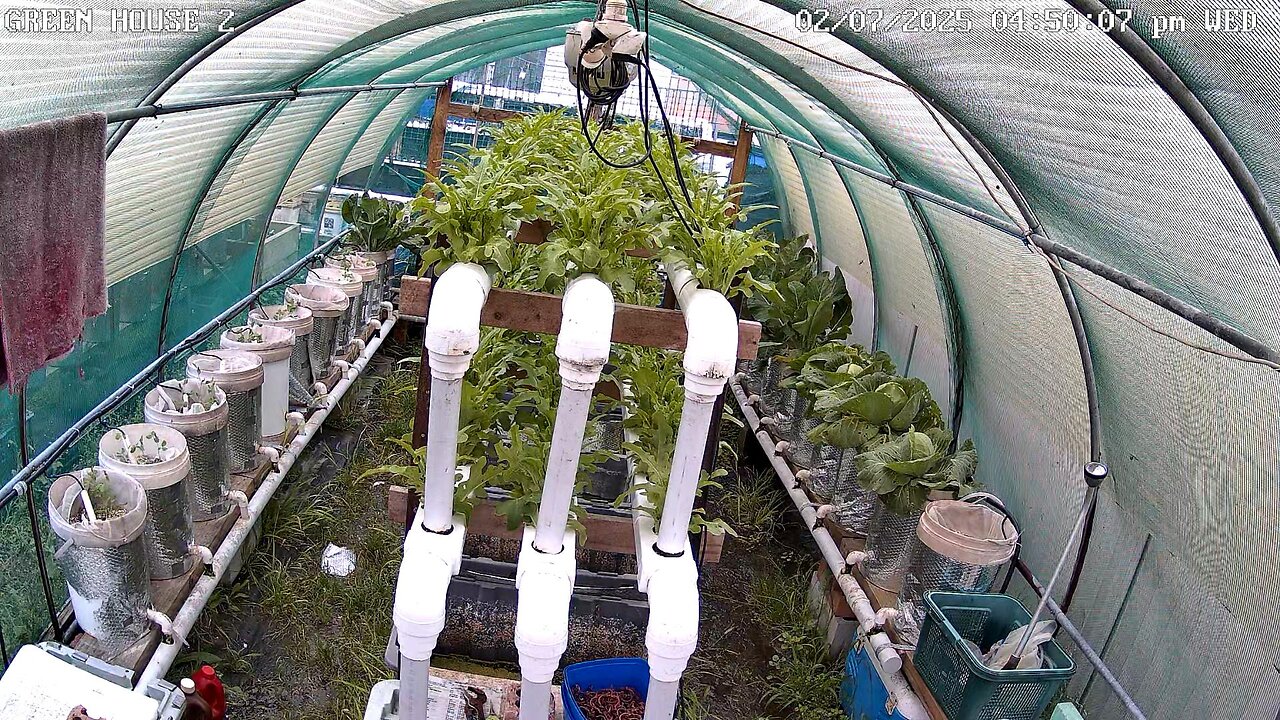 Greenhouse 2 Timeplapse Ending 13-09-2025