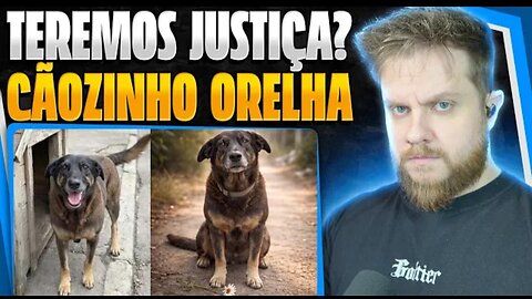 CÃO ORELHA: A CRUELDADE QUE REVOLTOU O BRASIL