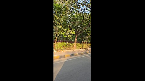 Took the auto ride today 🛺 enjoyed my weekend 💃🙌🏻