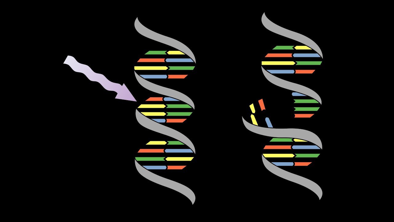 What Does the Bible say About Mutations? Podcast