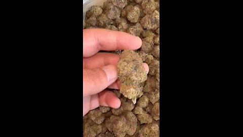 ⛽ bag
