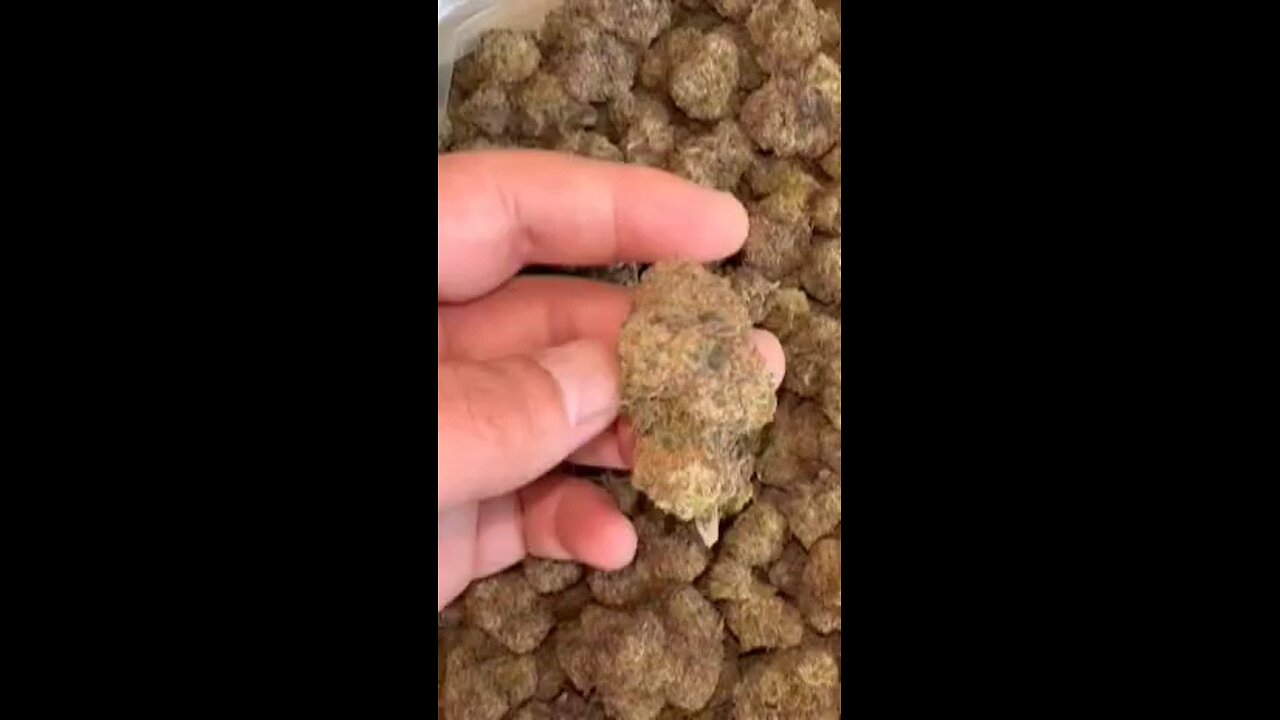 ⛽ bag