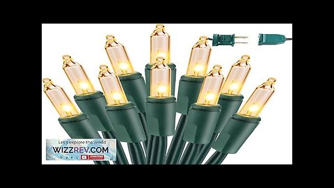 BrizLabs Clear Christmas Lights Outdoor 300 Count 69.6ft Incandescent Christmas Lights Review