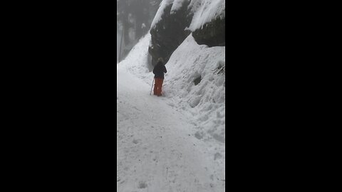 Snowshoeing @Dog mountain Mt Seymour Prov Park