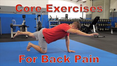 FIVE Best Core Exercises for Back Pain (Protects Spine!)