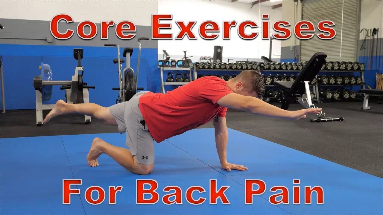 FIVE Best Core Exercises for Back Pain (Protects Spine!)