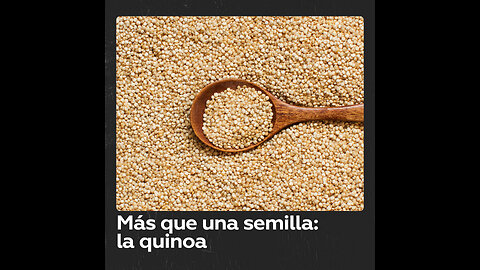 Quinoa: más que una semilla