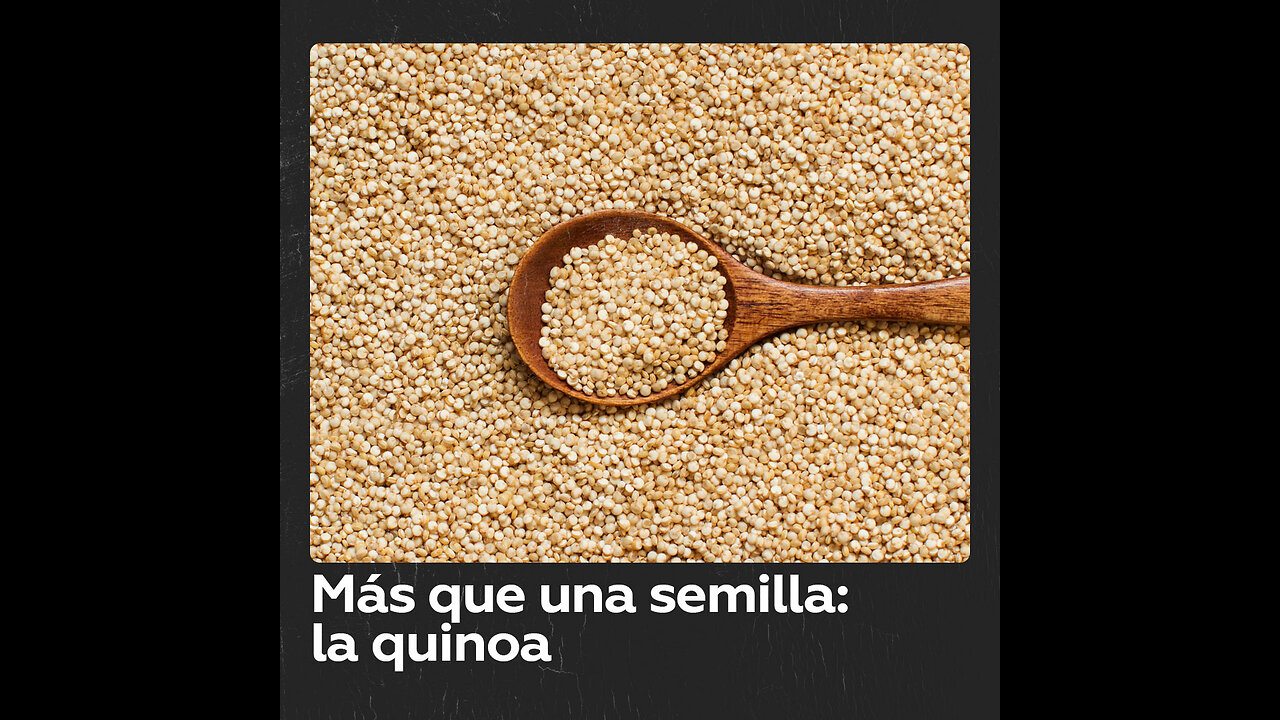 Quinoa: más que una semilla