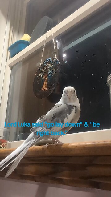 Take A Break From Politics