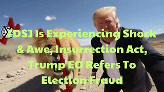 [DS] Is Experiencing Shock & Awe, Insurrection Act, Trump EO Refers To Election Fraud