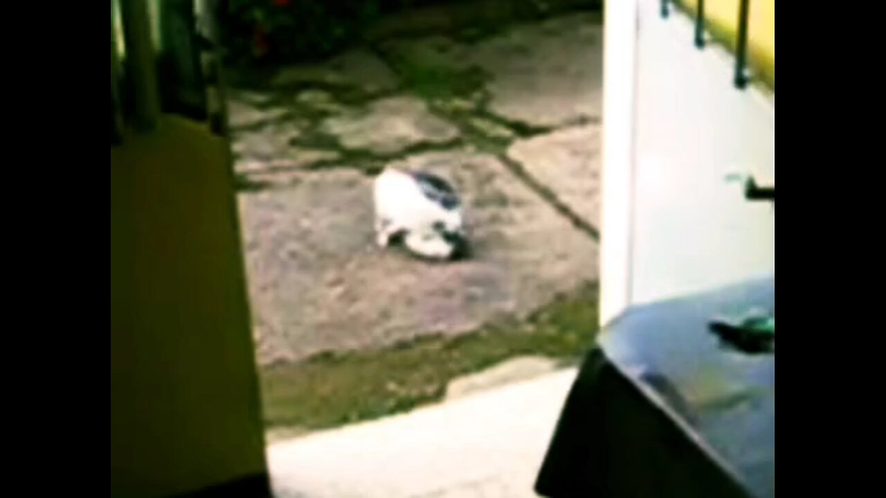 El juego y el arte del combate