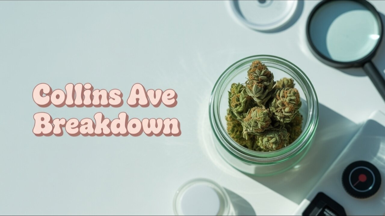 Collins Ave will put you in the Streets JK DISTRO