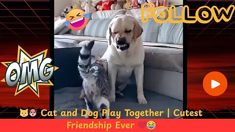 🐱🐶 Cat and Dog Play Together | Cutest Friendship Ever ❤️😂