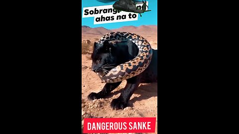 lion 🦁 vs sanke 🐍🚁😎😱 #short