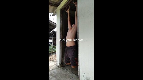 eat potatoes, lose weight #fitness #pushup #pullups