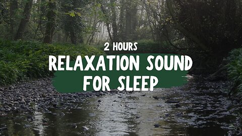 Bliss: Beautiful Relaxing Music with Flute, Piano, Guitar & Bird Sounds