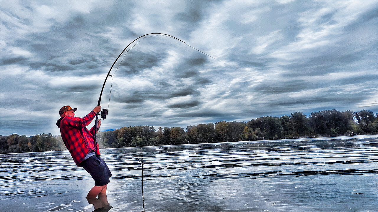 Searching for a RIVER MONSTER (Sturgeon Fishing the Fraser River)
