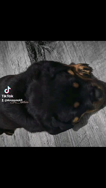 MORE UPDATES. FACE CHANGING UP,