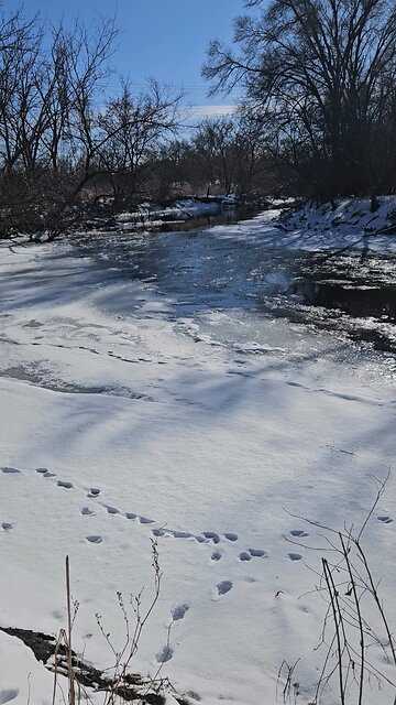 Frozen Salt Creek
