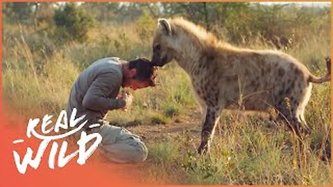 The World's Most Unlikely Animal Relationships | Animal Odd Couples | Real Wild