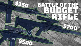 Should You Own A Budget Rifle? PSA Freedom 15 vs Hi-Point HP15 vs Kel-Tec RDB