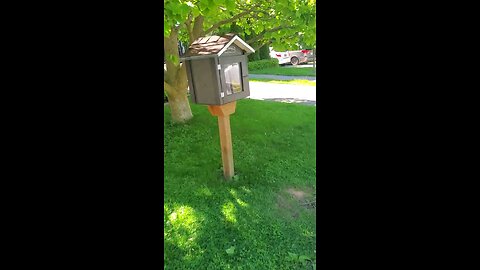Cute Free Mini Library