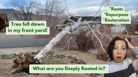 What are you Deeply Rooted in? | The 3 R's: Roots, Repurpose & Restoration