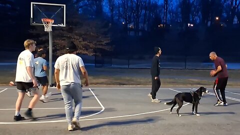 3v3 Basketball With an OG, A Dog and High School Seniors Showdown 🔥🏀