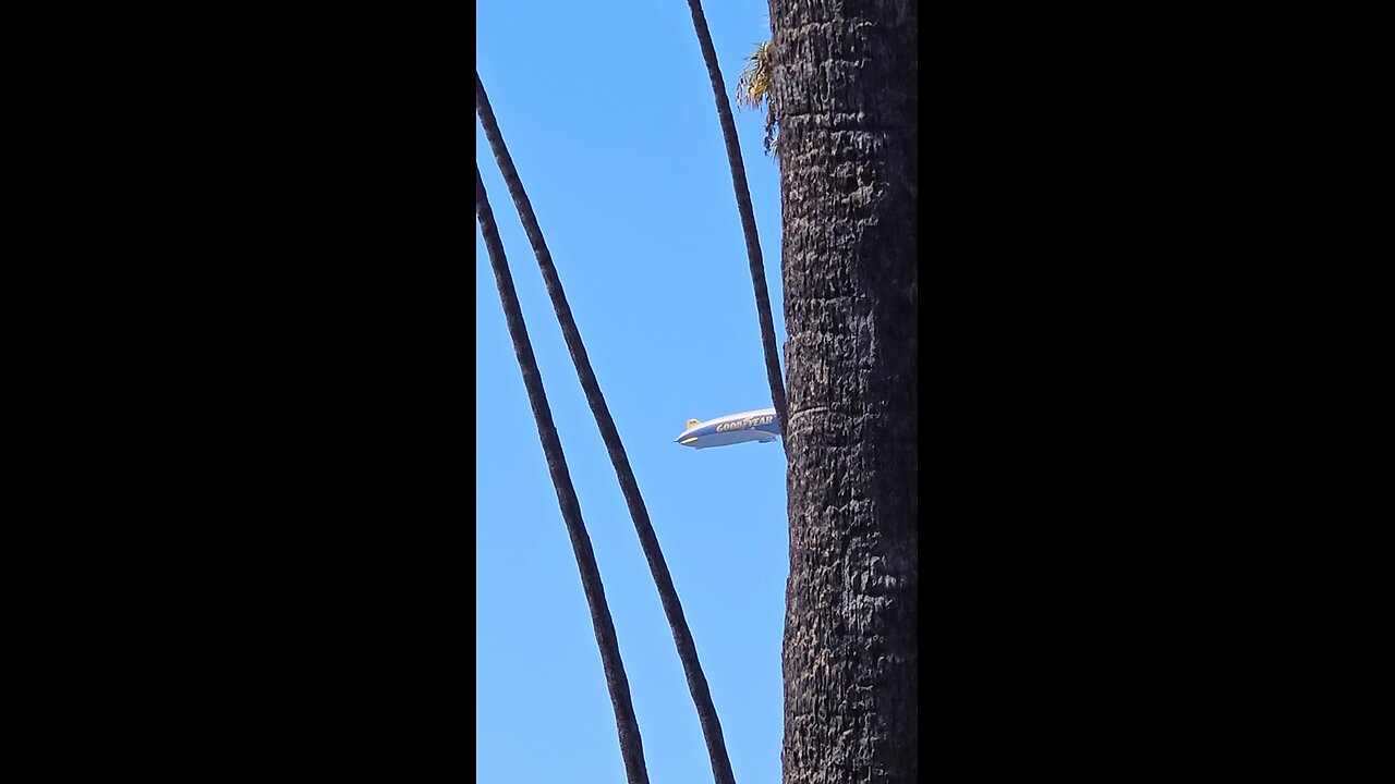 THIS is an amazing view 🪟