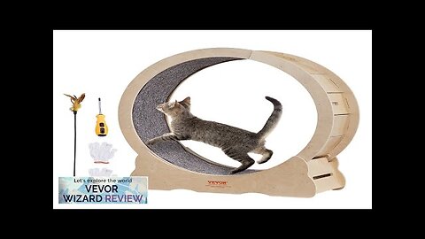 VEVOR Cat Exercise Wheel Large Cat Treadmill Wheel for Indoor Cats 35.8 Review