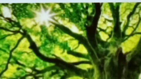 አጭር ግጥም short poem የራምብል ተመልካቾች ኧረ ላይክ አይከፈልበትም