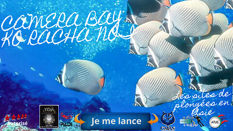 🚢💥 CAMERA BAY, RACHA NOI – LE SANCTUAIRE DES CORAUX