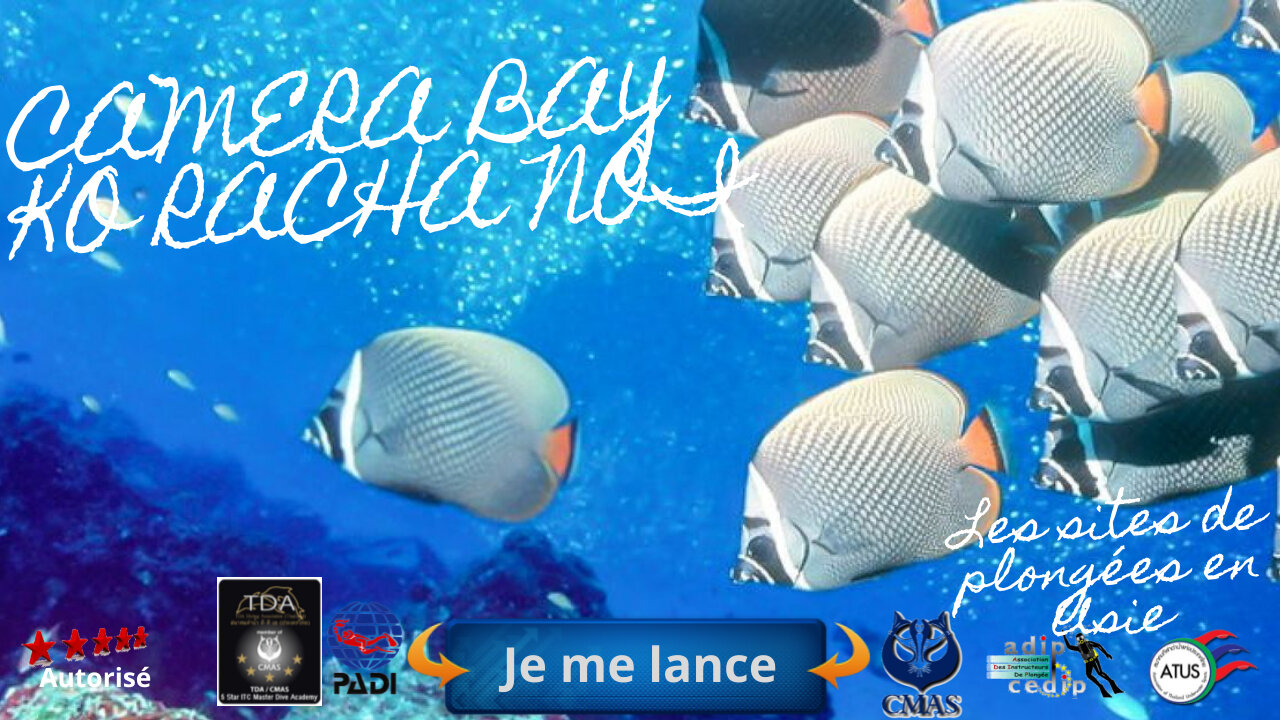 🚢💥 CAMERA BAY, RACHA NOI – LE SANCTUAIRE DES CORAUX