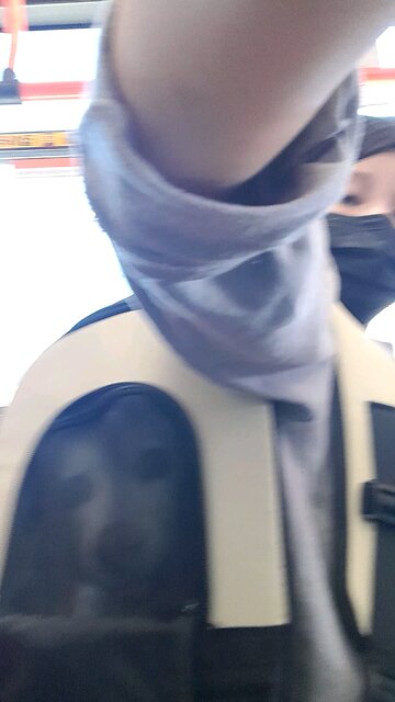 20251008. God Is Love.