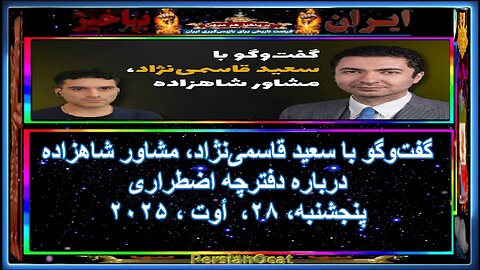 گفت‌وگو با سعید قاسمی‌نژاد، مشاور شاهزاده درباره دفترچه اضطراری -۲